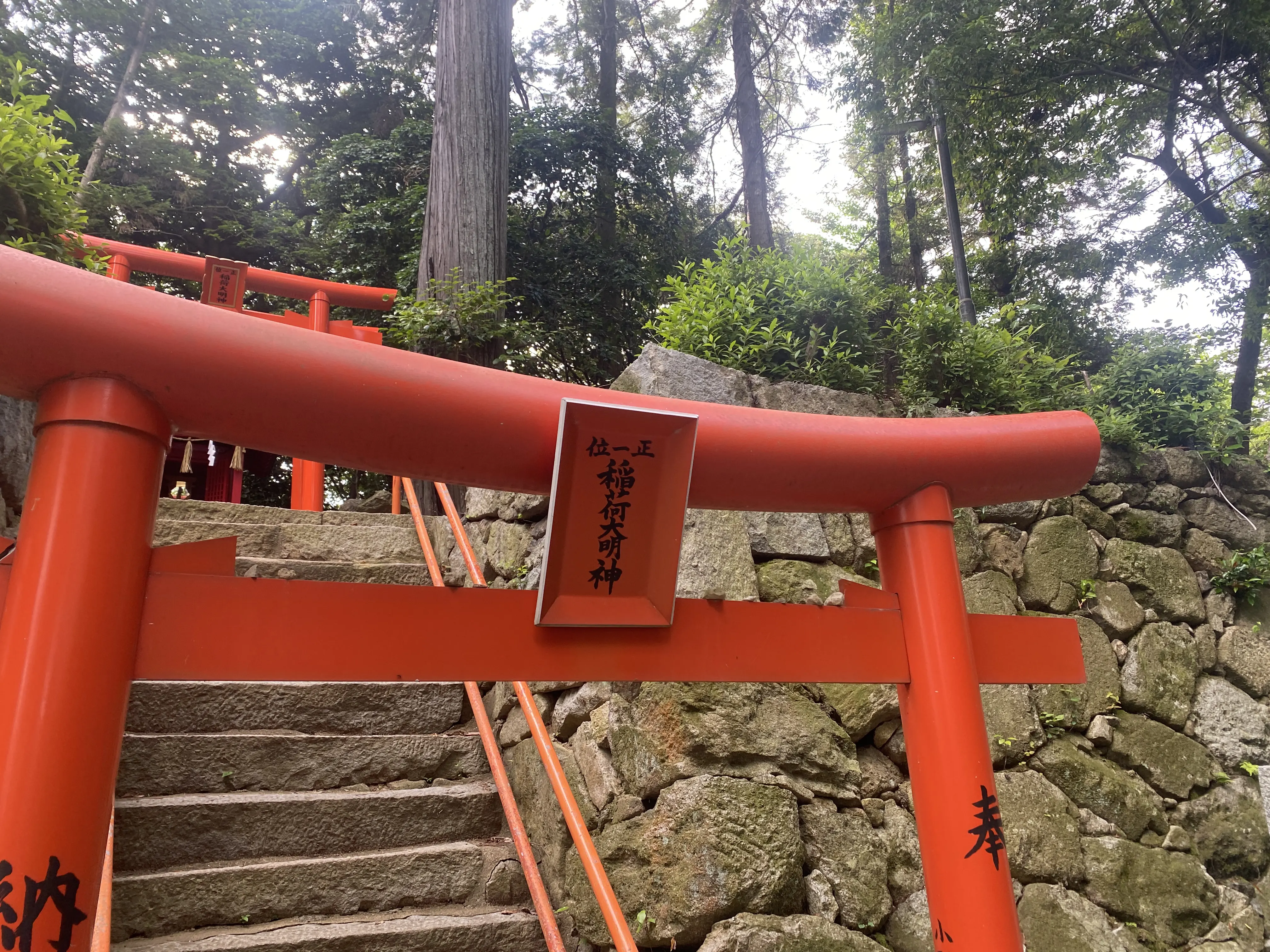 梅雨の晴れ日の参拝「筑紫神社」7