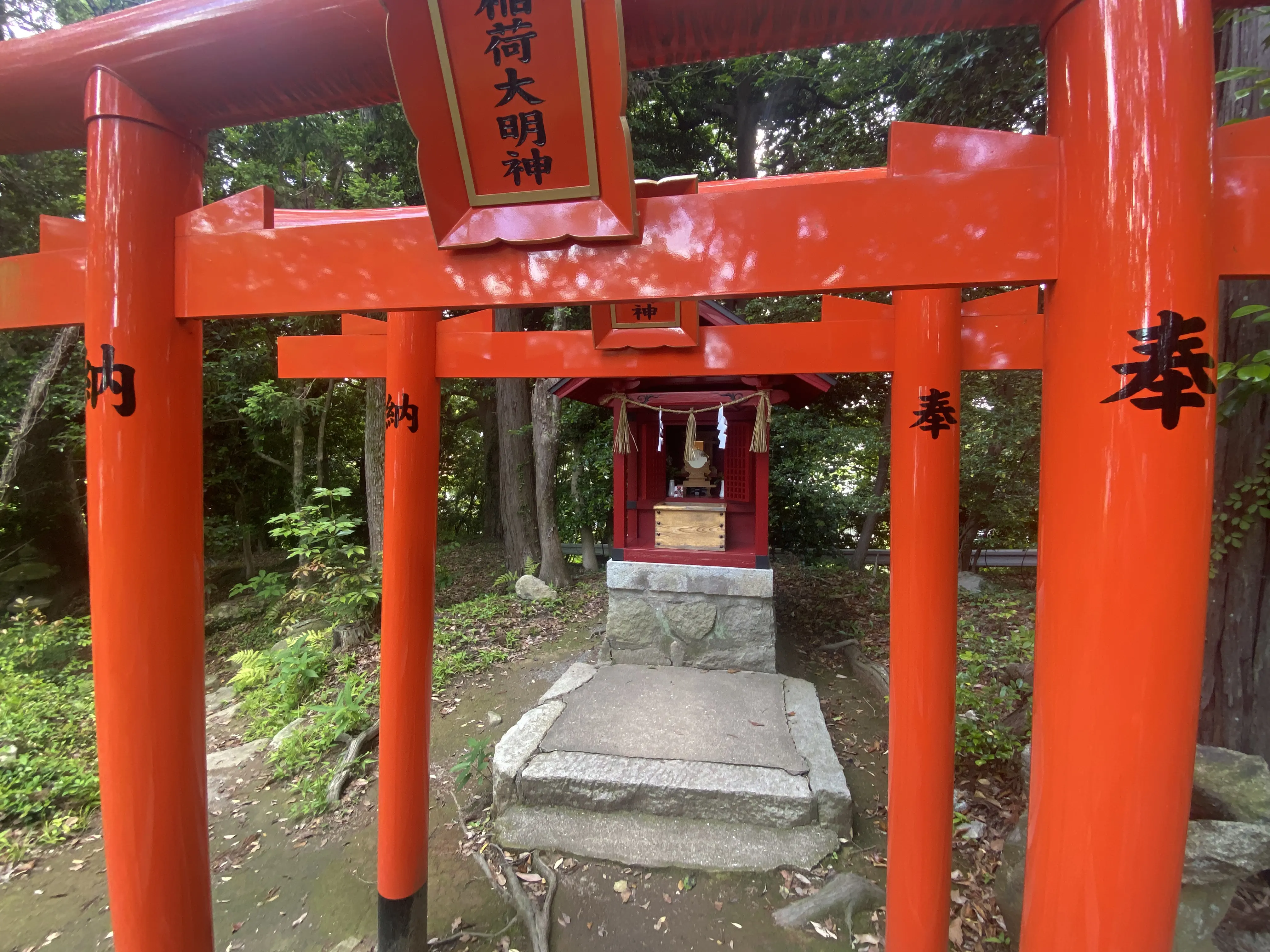 梅雨の晴れ日の参拝「筑紫神社」8