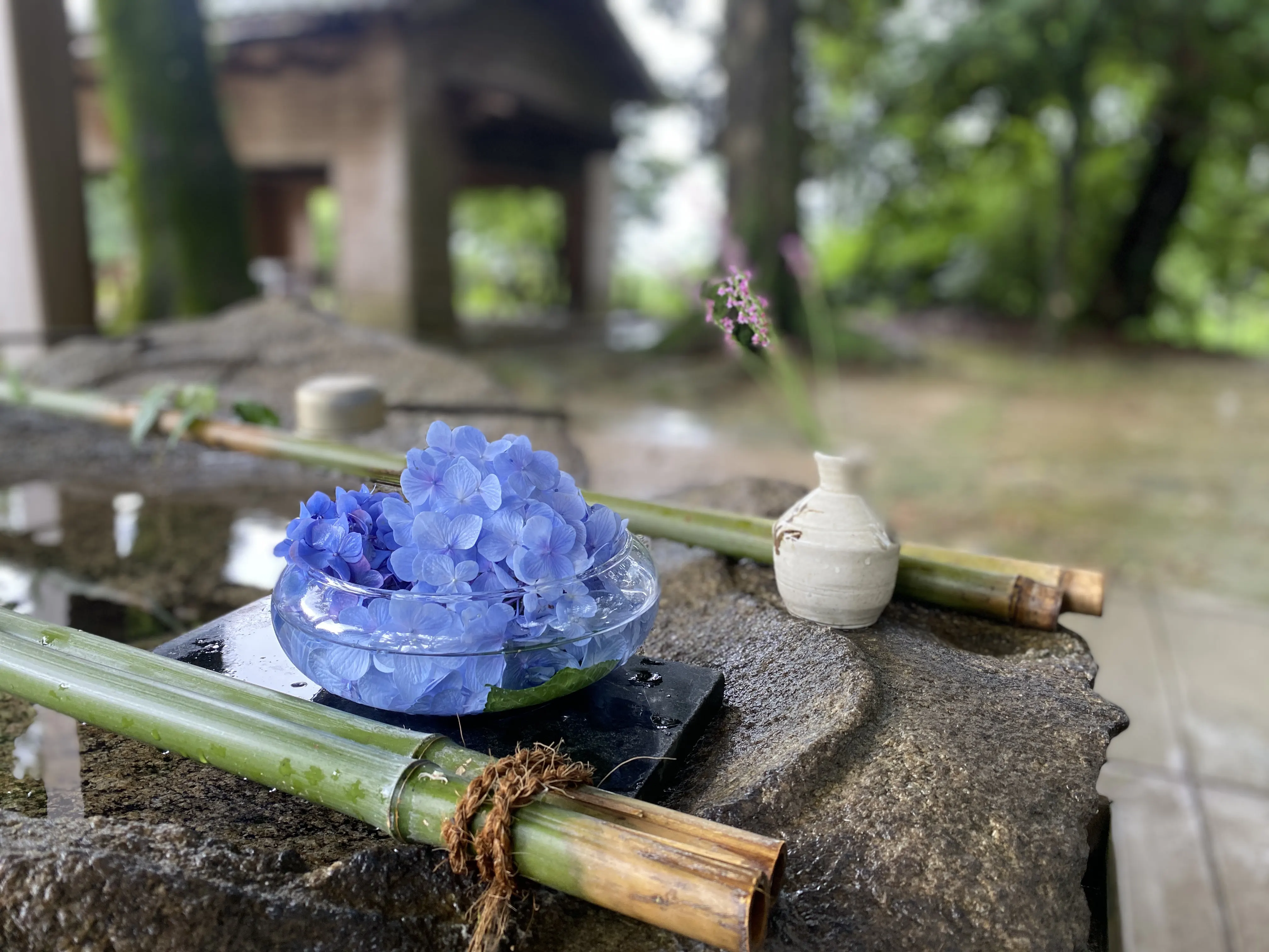 筑紫野の開運パワースポット「筑紫神社」3