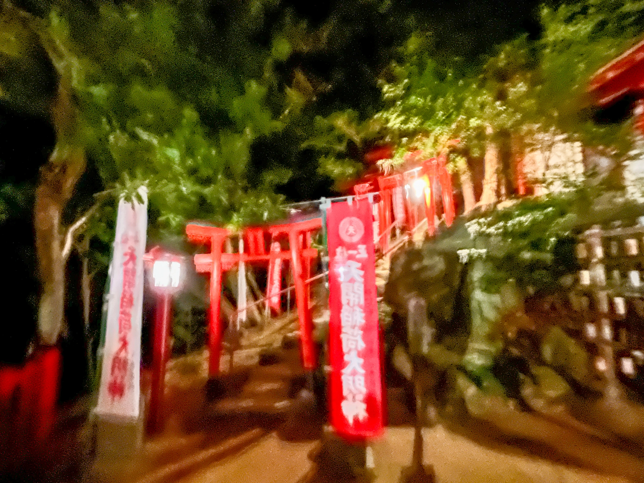 大宰府天満宮の「裏パワースポット」呼ばれた人だけが行ける最奥の「天開稲荷社」5