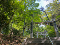命尽くしの神を祀る 「筑紫神社」