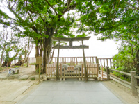 玄界灘を一望する遥拝所「志賀海神社」