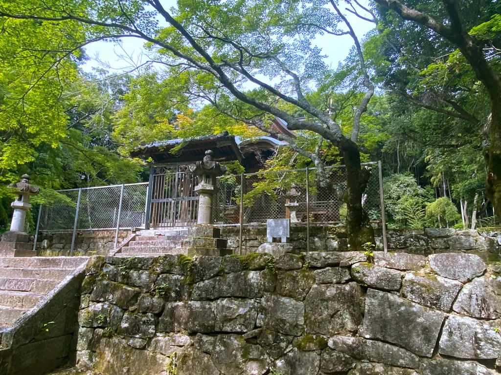 隠れたパワースポット「白石神社」の本殿裏
