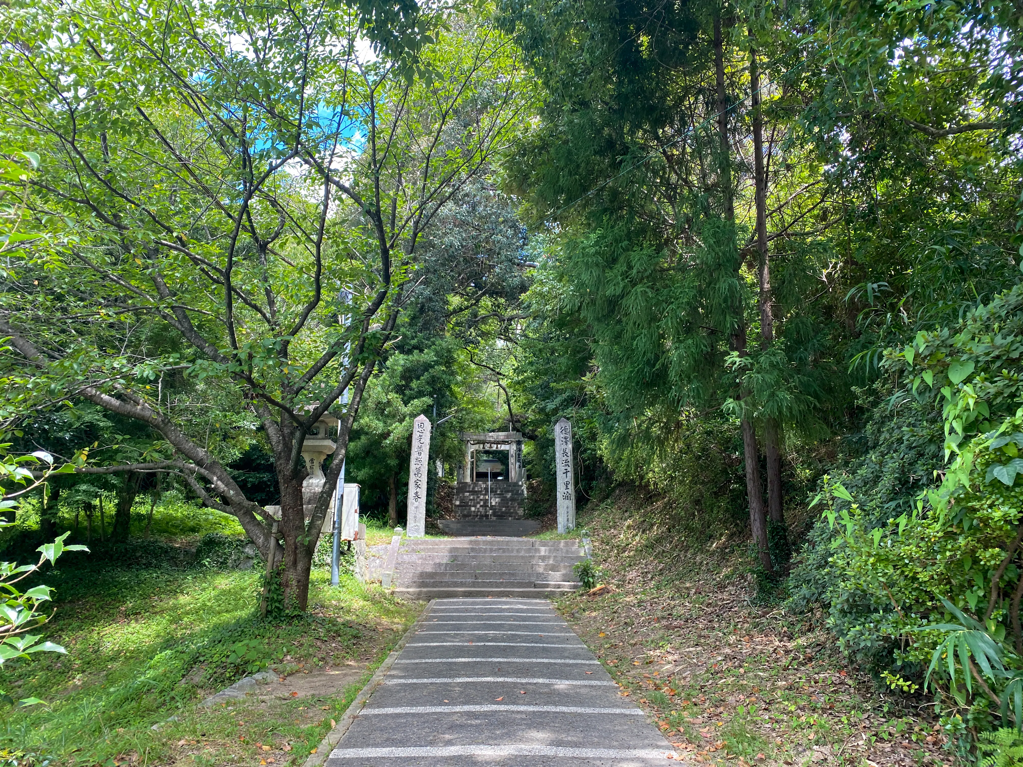 「筑紫神社」木漏れ日と階段